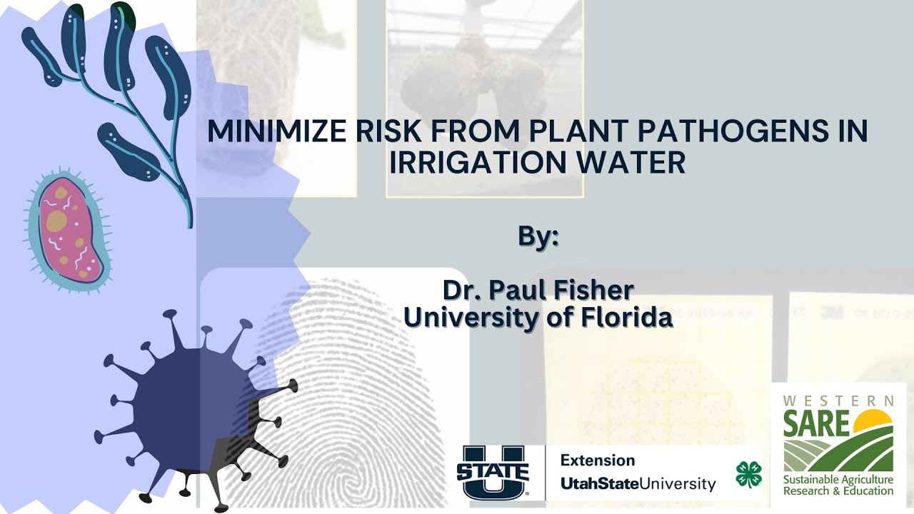 Minimize risk from plant pathogens in irrigation water - YouTube