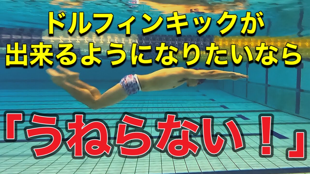 #553 ドルフィンキックが出来るようになりたいなら「うねらない！」【初心者〜中級者】