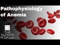 Pathophysiology of Anemia