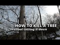 How-to KILL A TREE Without Cutting it Down [Hack and Squirt]