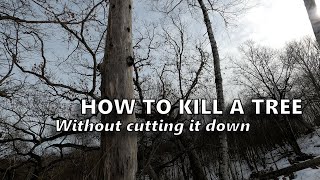 Howto KILL A TREE Without Cutting it Down [Hack and Squirt]