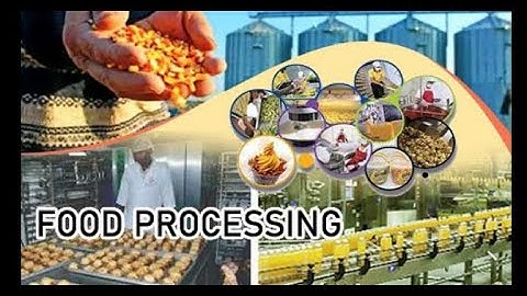 Doyouknow  105 Satisfying Videos Food Processing Machines That Another Level #food #foodie