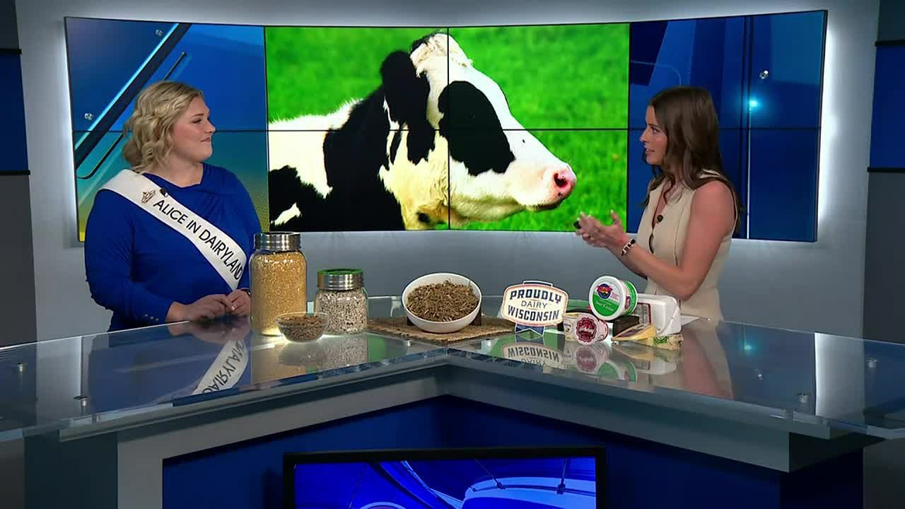 Alice In Dairyland Showcases Sustainable Farming Practices In The