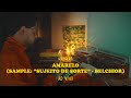 Emicida - AmarElo (Sample: Sujeito de sorte - Belchior) - Ao Vivo part. Pabllo Vittar e Majur