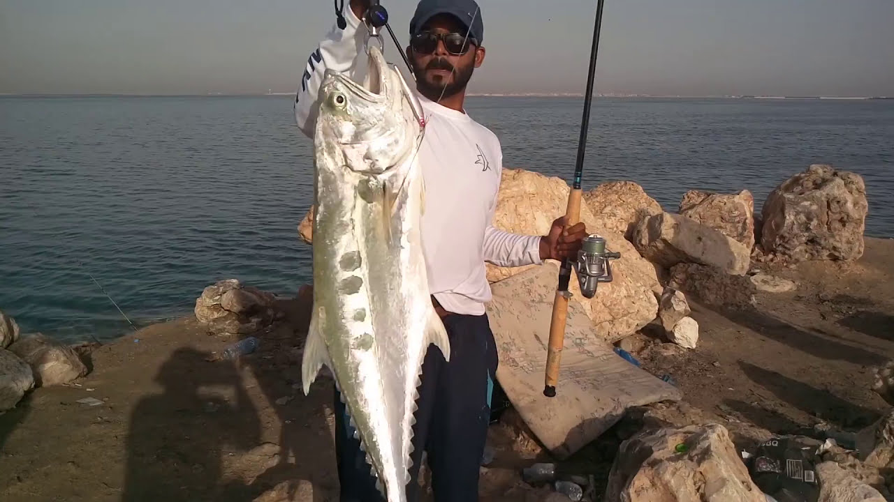 Monster Queen Fish from shore fishing - Al dakira- megabass Lure -17-06-2016