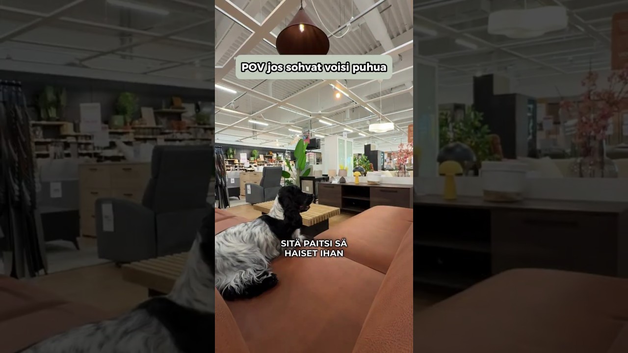 POV: jos sohvat vois puhua 🫢 Mitä sun sohva sanois?