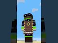 La capa más rara de Minecraft! 🤔