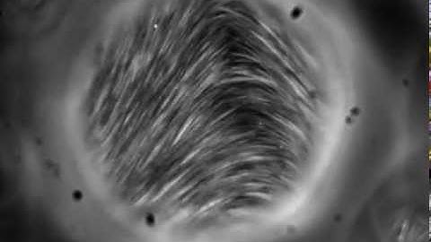 Emulsion Droplet with Active 2D Nematic