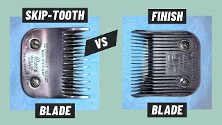 Why I Avoid SkipTooth Blades