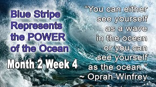 Power Turtles and Tiny Tigers On-Demand Video Class - STRIPE TEST 2022 Cycle 2 Month 2 Week 4