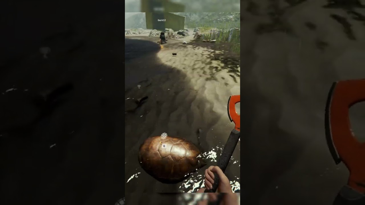 Нашли в контейнере бланки Forest