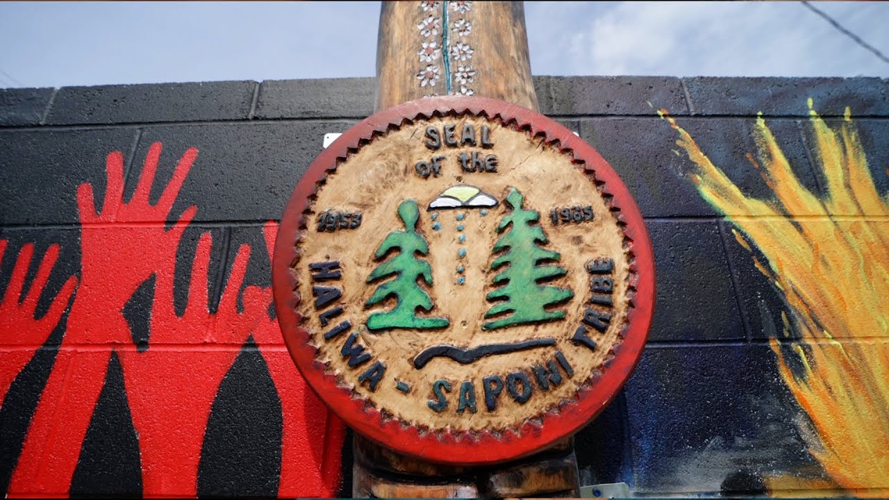 HaliwaSaponi Tribe Visibly Speaking NC's Inclusive Public Art