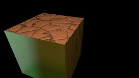 First Cheetah 3D Animation