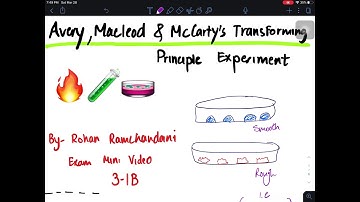 Avery, MacLeod, and McCarty’s Transforming Principle Experiment