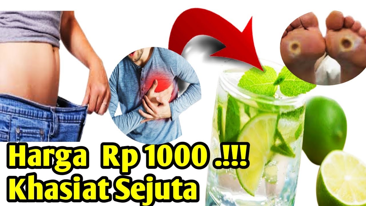 SANGAT DI LUAR DUGAAN !! Harga 1000 Manfaat Sejuta, Khasiat Jeruk Nipis