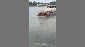 Ghe chở dừa vượt cống Coconut boat crossing the sewerLư vũ vlog