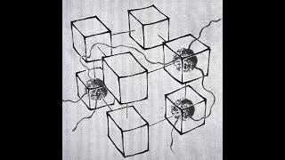 Radical Software – Tamiko Thiel