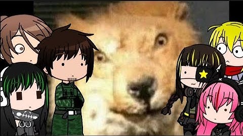 GATE/GFL react to MEMES that I somehow didn