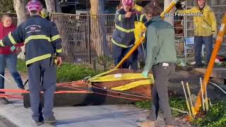 California firefighters rescue horse after falling into a hole