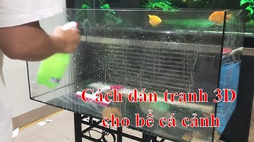 Cách dán tranh 3D cho bể cá cảnh | Trung3D