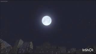 king julien screaming (summer rhythms)