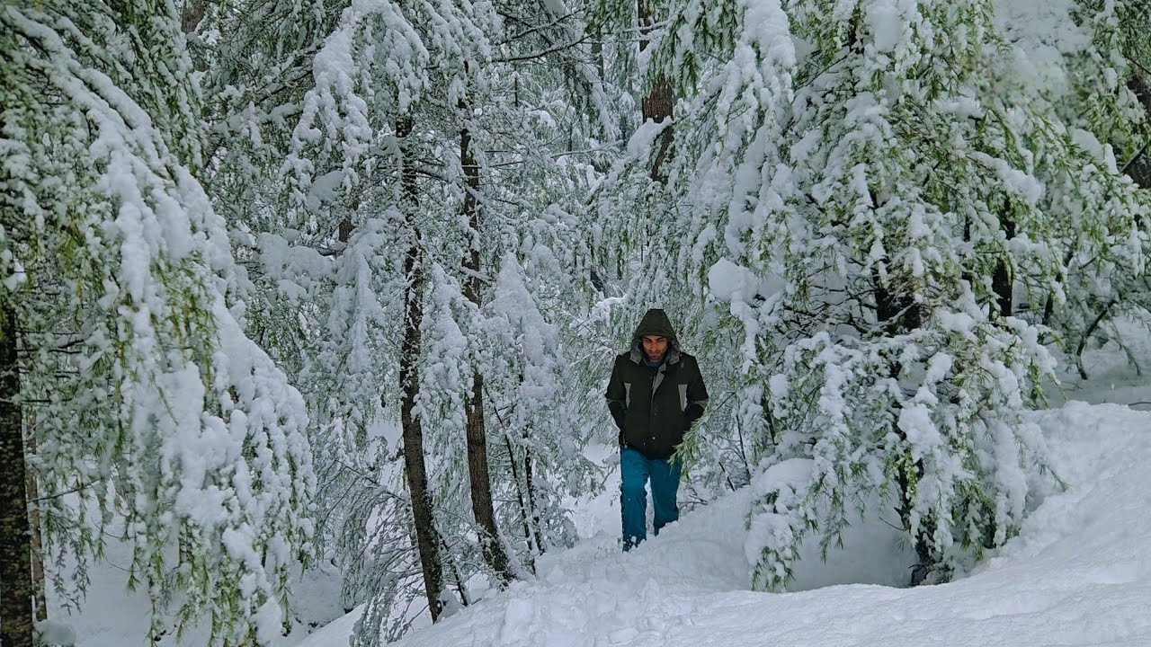 Kashmir First Snowfall Experience ❄️ | Alone Camping & Survival in Snowstorm | Cyber Silk