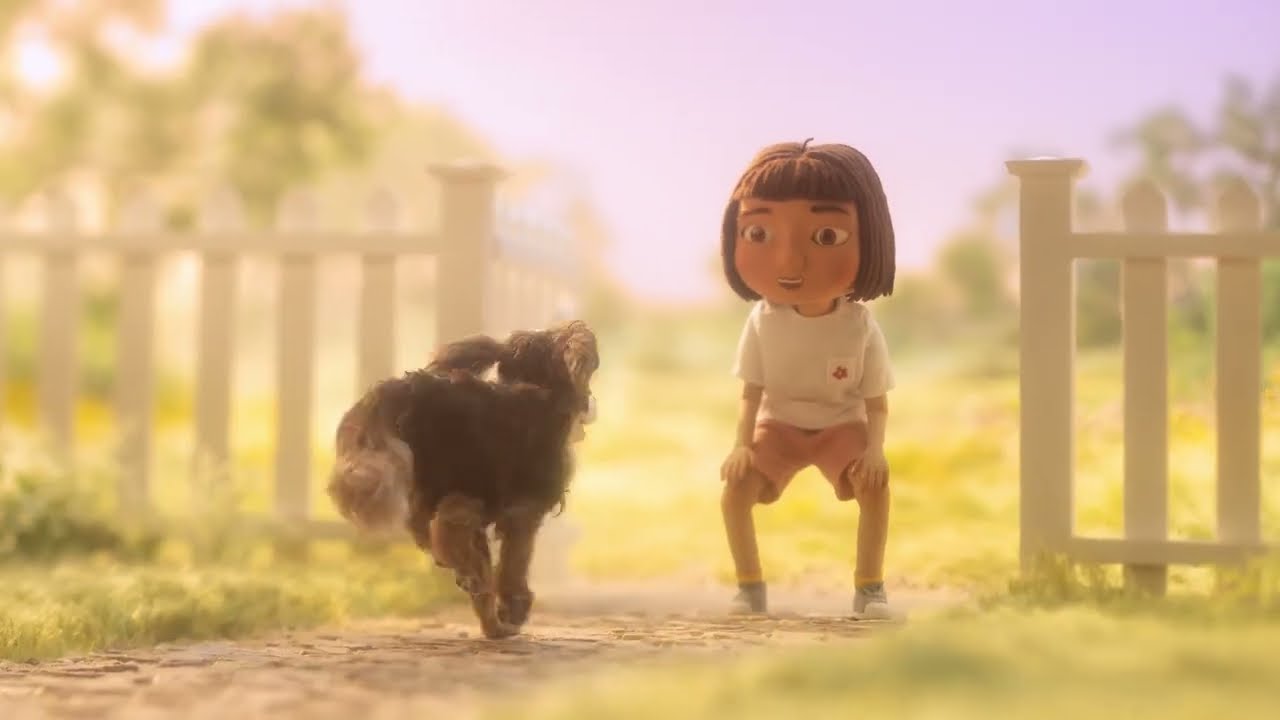 ilume - Fresh dog food delivery service to help our dogs live longer lives