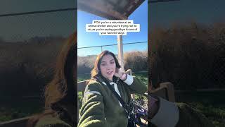 Hopefully Everything Goes Smooth And They Make It Final In 2 Weeks.