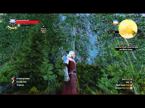 Video: The Witcher 3 - To Bait A Forktail, Eskel, Forktail Fight, Hesteveddeløp