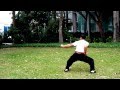 新加坡 洪拳套路 单弓伏虎 Singapore Hung Gar Kung Fu Single Bow Tiger Form Demonstration