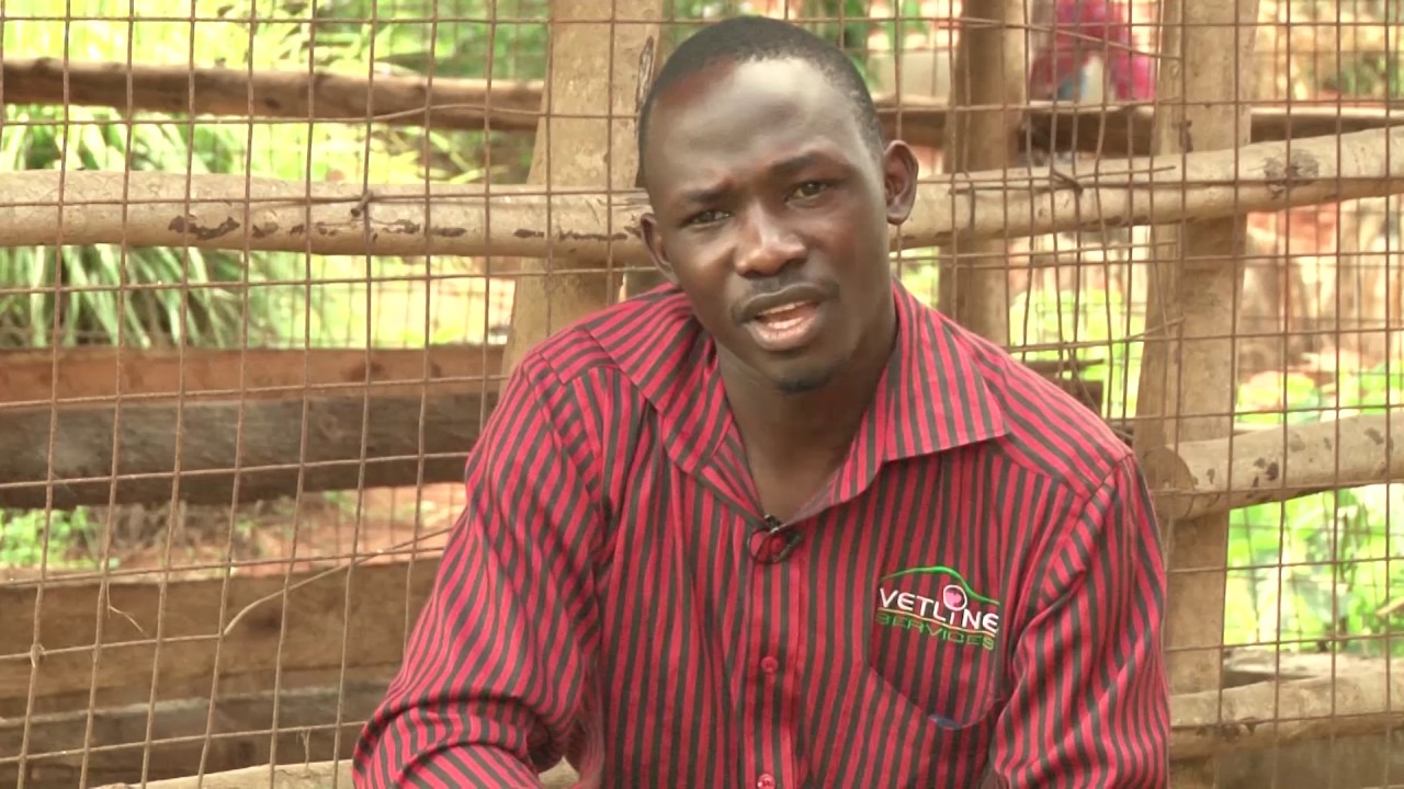 07A Kyosiga Obulunzi bw'embizi