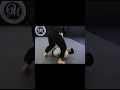 split pass to the arm bar