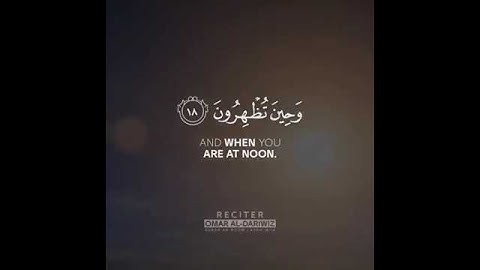 أرح سمعك 🥀القارئ: عمر الدريويز🍃حالات واتس آب