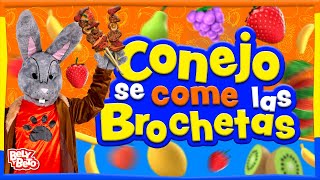 Conejo se comió las brochetas de Miguelita y Kelly- Bely y Beto