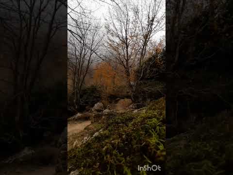 مرا چشميست خون افشان ز دست آن کمان ابرو جهان بس فتنه خواهد ديد از آن چشم و از آن ابرو