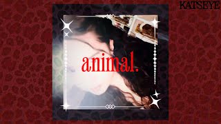 Katseye - Animal Cover Vampire Version No Ai