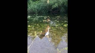 View from the Canal screenshot 2
