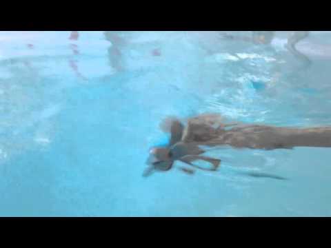 Left for Dead:Student Reenactment/USS Indianapolis Tragedy