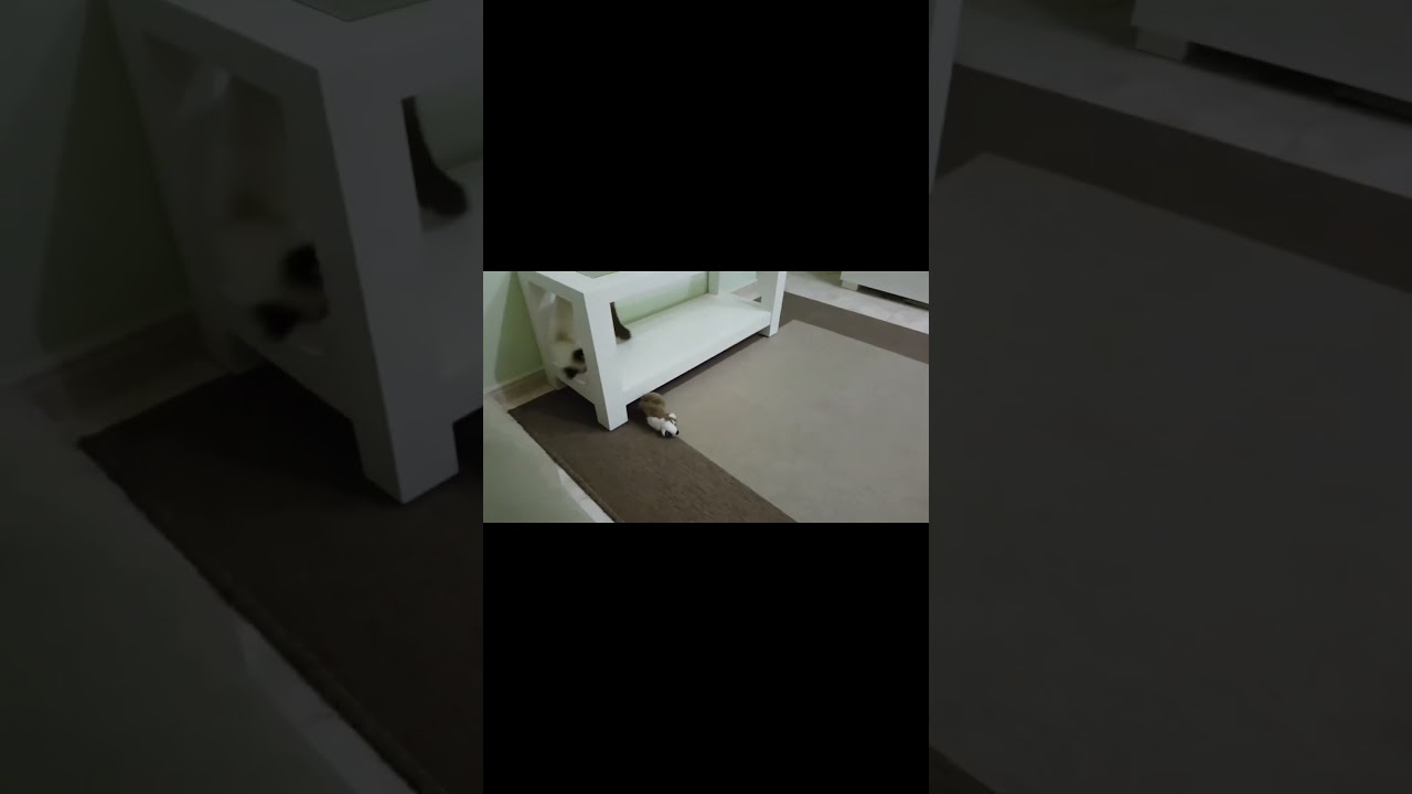 Потрошитель волков.