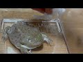 俺は愛想をつかされたの？