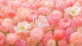 Soft Rosé Dream Waltz 🌸 Elegant Piano & Flute BGM for Study, Work and Relaxation screenshot 2