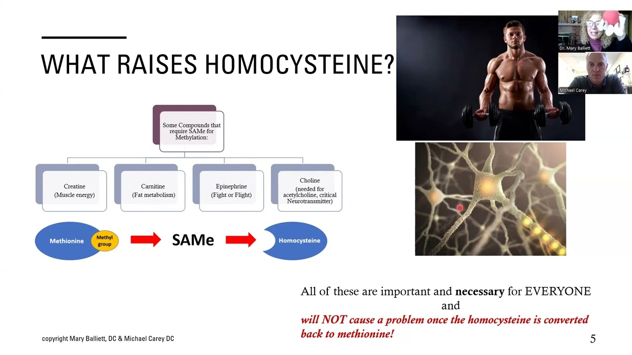 MTHFR: The Take Home Message