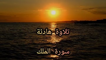 سورة الملك المنجية من عذاب القبر /تلاوة هادئة بصوت رائع القارئ عبد الله سعيد/الهدي النبوي ١