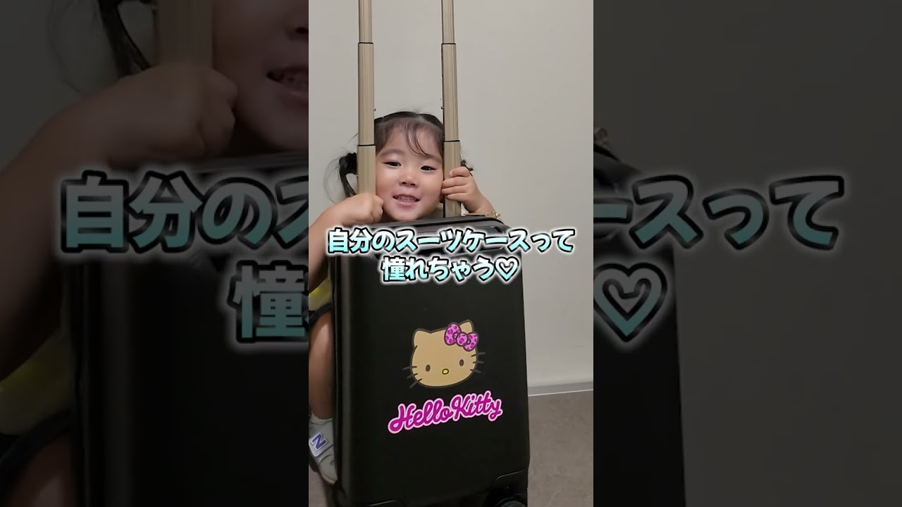 プチキャリー スーツケース 12L ジッパータイプ 日焼け ハローキティ