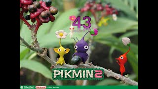 Pikmin 2 #43 Abstieg in die finale Höhle