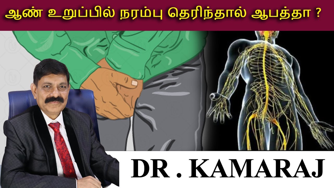 ஆண் உறுப்பில் நரம்பு தெரிந்தால் ஆபத்தா?