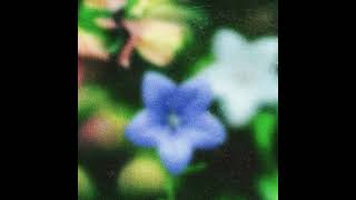 [FREE FOR PROFIT] Drum & Bass Type Beat - Lotus