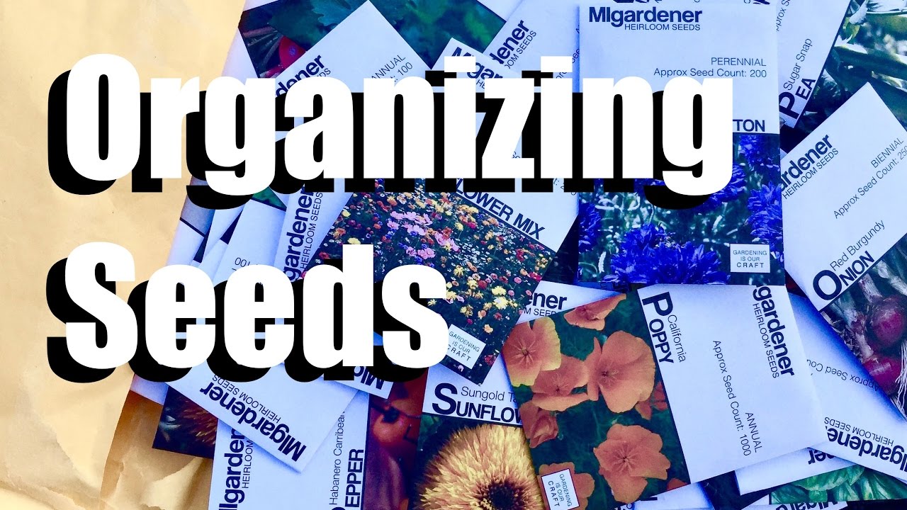 GENIUS Seed Storage Organizer 