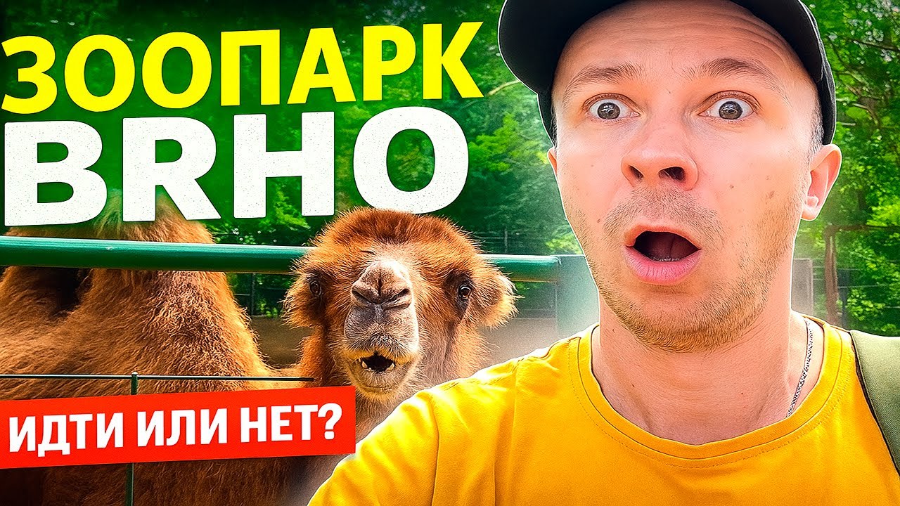 Зоопарк в Брно 2025 — Стоит ли идти? Обзор, животные, цены и впечатления