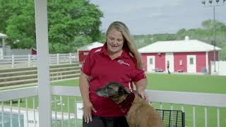 Meet Purina Farms Trainer Laura by Purina Farms 74 views 2 years ago 1 minute, 49 seconds